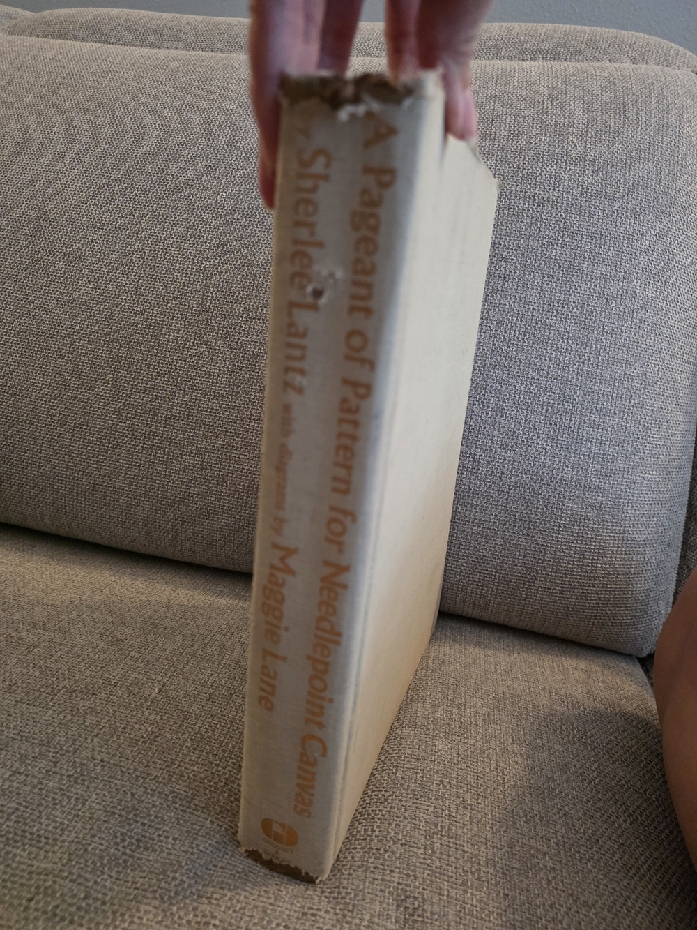 'A Pageant of Pattern for Needlepoint Canvas' Beige Hardcover